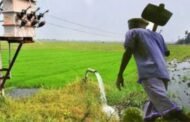उजनी मा .येथील लाईट सुरळीत करा शेतकऱ्यांची मागणी .. लाईट अभावी जनावरांचे पिण्याच्या पाण्यासह शेतकऱ्यांचे हाल ....